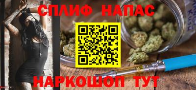 трава Гатчина
