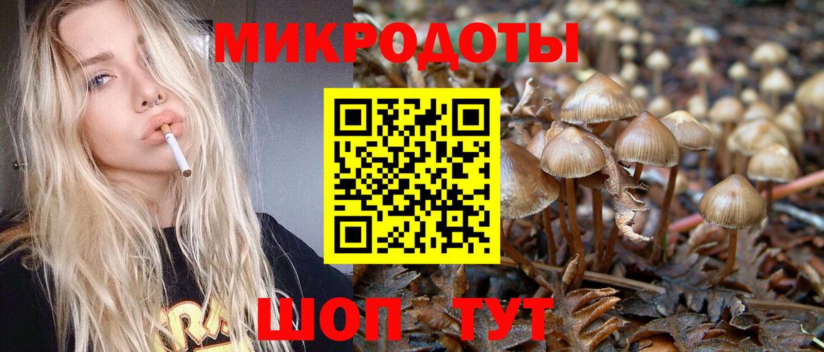 Галлюциногенные грибы Psilocybe  Вход с VPN  Волжск 